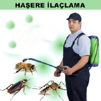 Gümüşhane Böcek İlaçlama